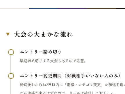 はじめての柔術大会ガイドの画面。大会の流れのタイムライン